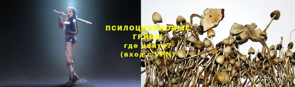 дурь Абаза