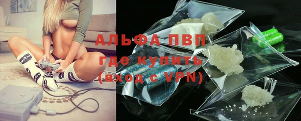 прущие грибы Приозерск