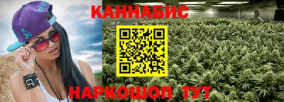 дживик Бийск