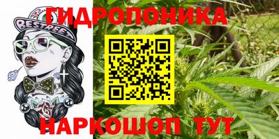 дживик Бийск