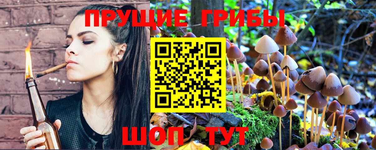 Белая Калитва  Псилоцибиновые грибы Cubensis  Вход с VPN  Псилоцибиновые грибы Magic Shrooms 